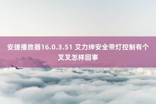 安捷播放器16.0.3.51 艾力绅安全带灯控制有个叉叉怎样回事