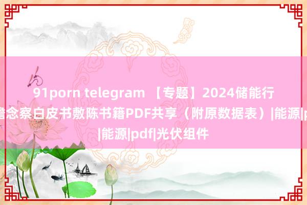 91porn telegram 【专题】2024储能行业营销数据瞻念察白皮书敷陈书籍PDF共享（附原数据表）|能源|pdf|光伏组件