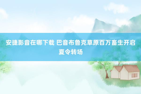 安捷影音在哪下载 巴音布鲁克草原百万畜生开启夏令转场